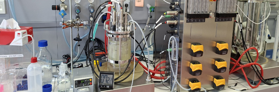Was ist Biosystemtechnik?