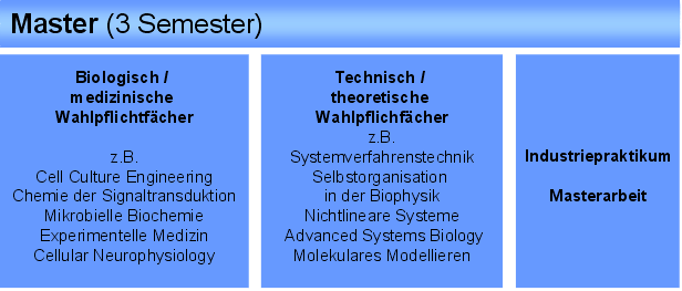 Master-width-616-height-263